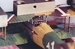 Click for 600-pixel-wide version